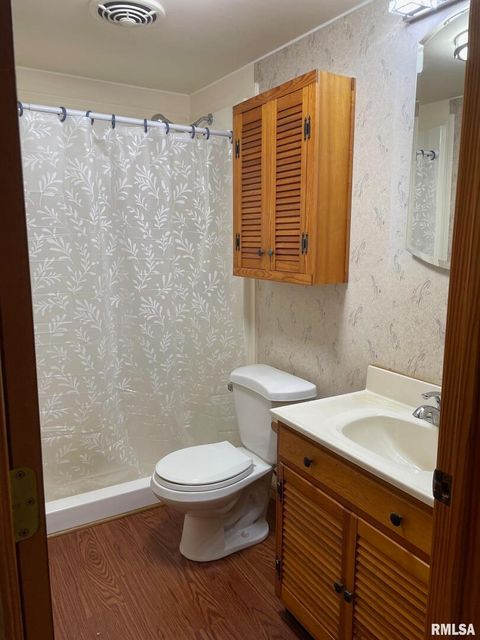 Tiny photo for 687 5TH Street, Omaha, IL 62871 (MLS # EB459902)