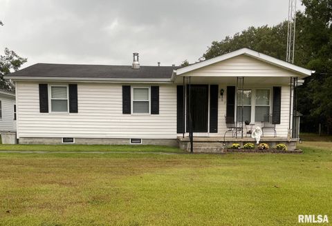 Photo of 687 5TH Street, Omaha, IL 62871 (MLS # EB459902)