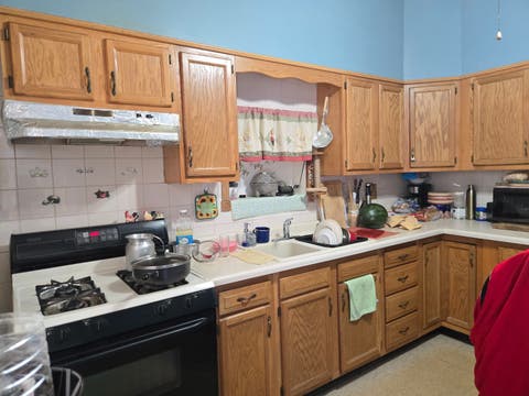 Tiny photo for 953 Elizabeth Street, Elgin, IL 60120 (MLS # 12663203)