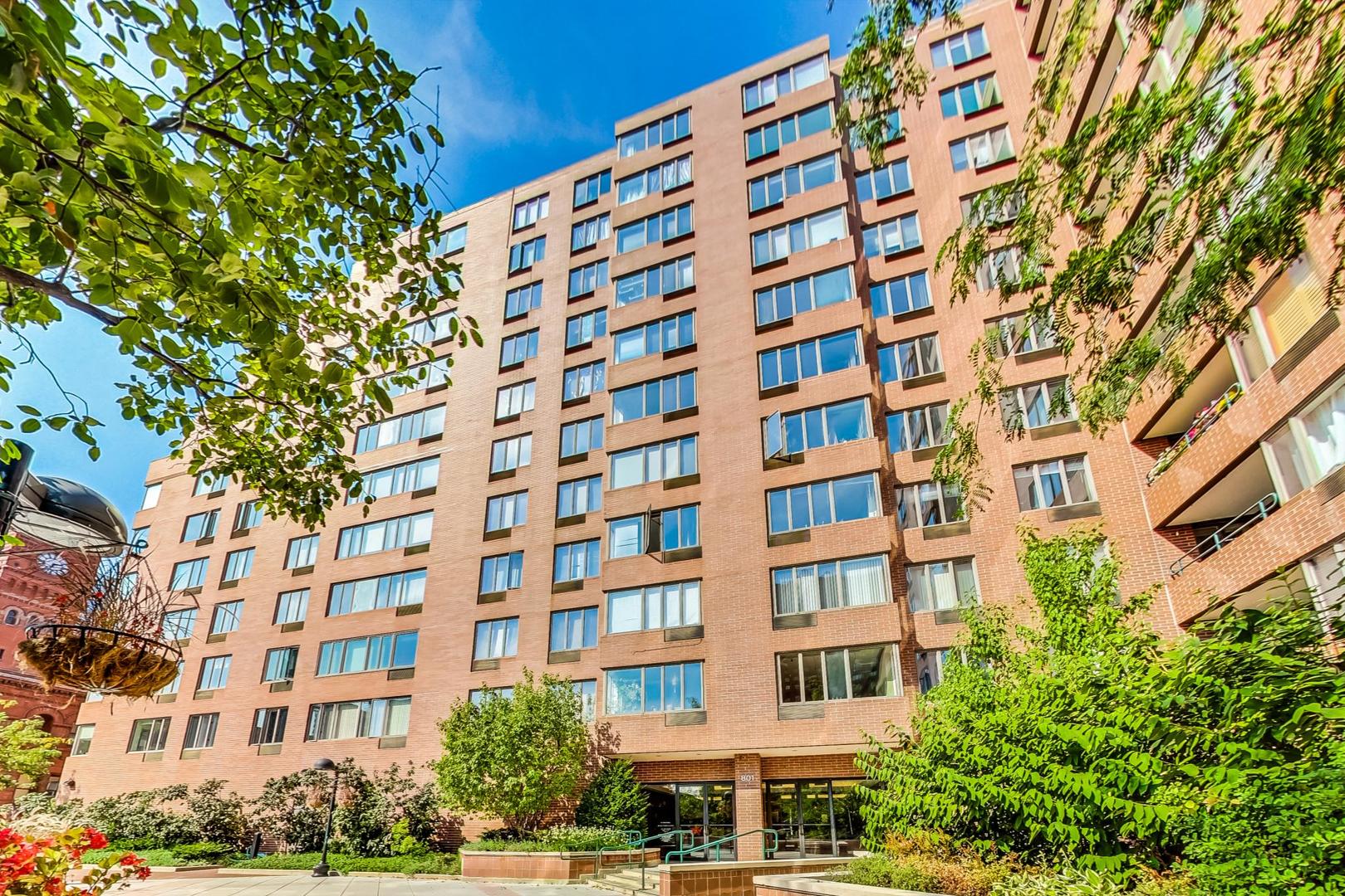 801 S Plymouth Court 616