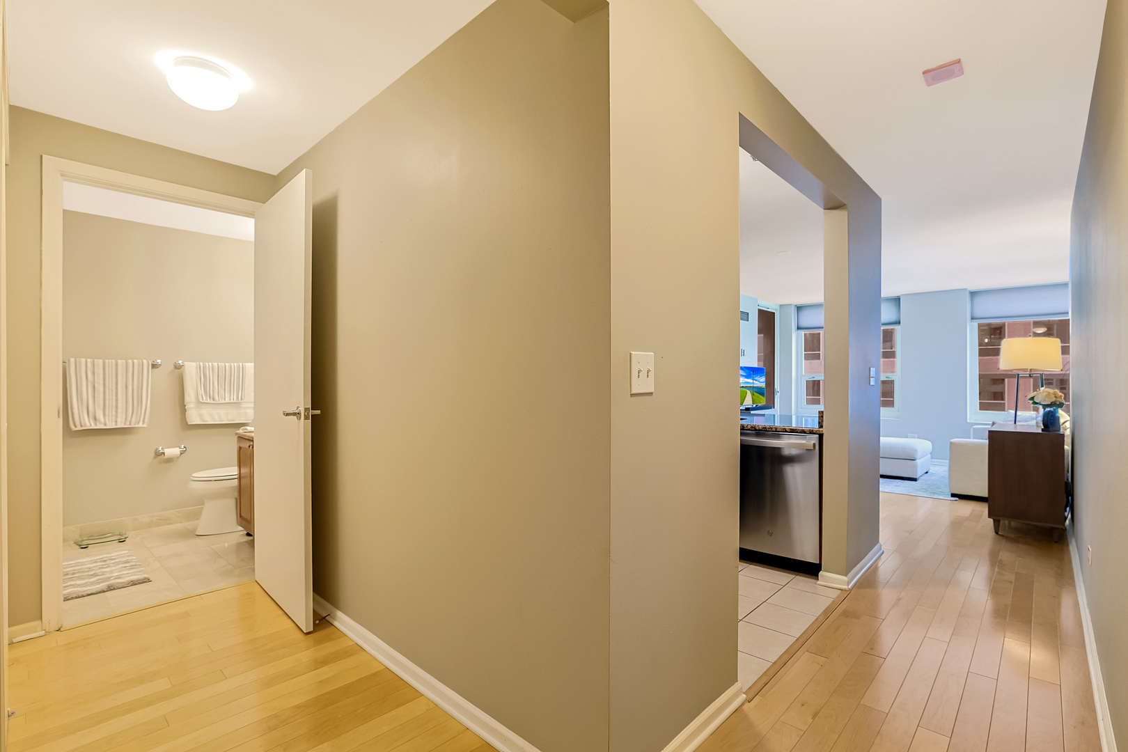 345 N La Salle Drive 1010