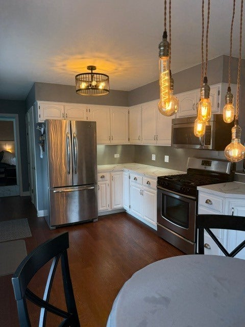 Tiny photo for 524 Gordon Drive, Crete, IL 60417 (MLS # 12728633)