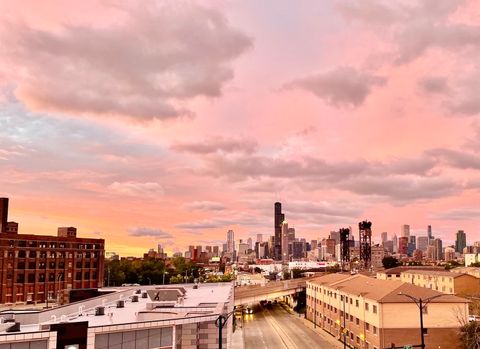 Tiny photo for 2310 S Canal Street #401, Chicago, IL 60616 (MLS # 12516513)