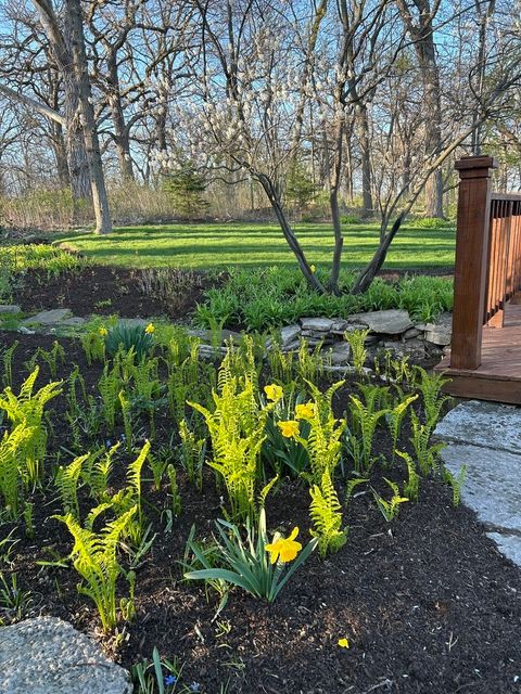 Tiny photo for 720 South Street, Barrington, IL 60010 (MLS # 12538693)