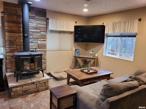 Tiny photo for 19650 N Pisque Lane, Woodlawn, IL 62898 (MLS # EB460569)