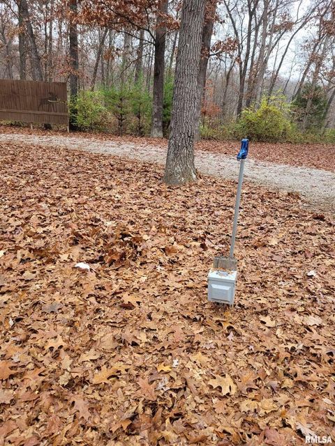 Tiny photo for 19650 N Pisque Lane, Woodlawn, IL 62898 (MLS # EB460569)