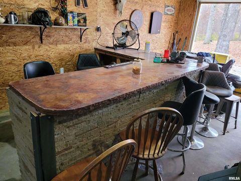 Tiny photo for 19650 N Pisque Lane, Woodlawn, IL 62898 (MLS # EB460569)