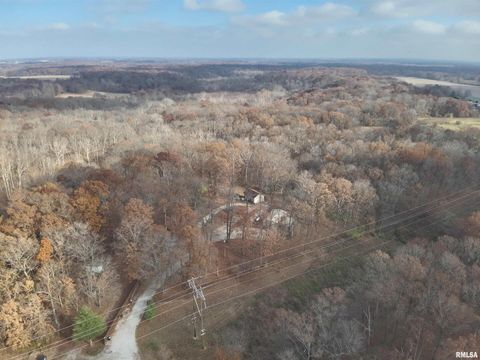 Tiny photo for 19650 N Pisque Lane, Woodlawn, IL 62898 (MLS # EB460569)