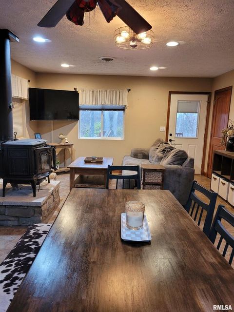 Tiny photo for 19650 N Pisque Lane, Woodlawn, IL 62898 (MLS # EB460569)