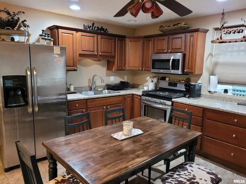 Tiny photo for 19650 N Pisque Lane, Woodlawn, IL 62898 (MLS # EB460569)