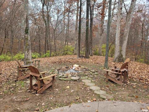 Tiny photo for 19650 N Pisque Lane, Woodlawn, IL 62898 (MLS # EB460569)