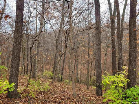 Tiny photo for 19650 N Pisque Lane, Woodlawn, IL 62898 (MLS # EB460569)