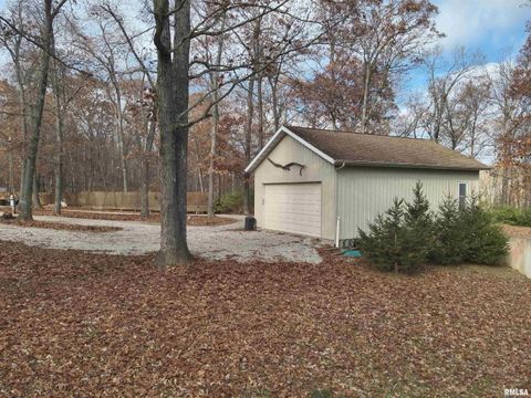 Tiny photo for 19650 N Pisque Lane, Woodlawn, IL 62898 (MLS # EB460569)