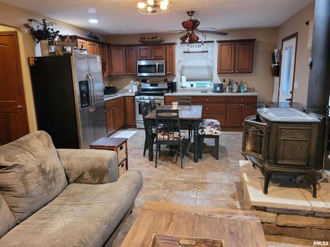 Tiny photo for 19650 N Pisque Lane, Woodlawn, IL 62898 (MLS # EB460569)