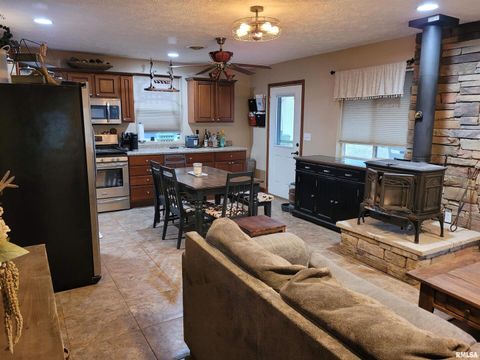 Tiny photo for 19650 N Pisque Lane, Woodlawn, IL 62898 (MLS # EB460569)