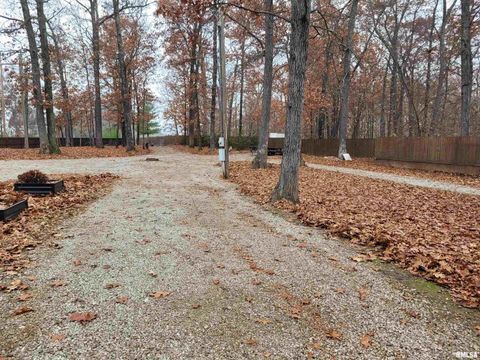 Tiny photo for 19650 N Pisque Lane, Woodlawn, IL 62898 (MLS # EB460569)