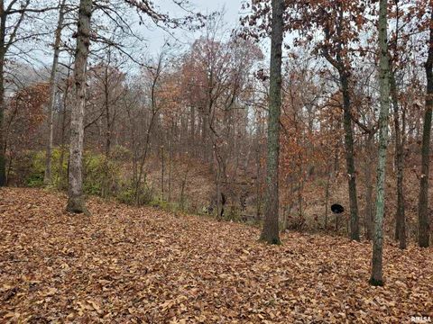 Tiny photo for 19650 N Pisque Lane, Woodlawn, IL 62898 (MLS # EB460569)