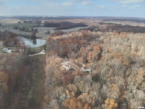 Tiny photo for 19650 N Pisque Lane, Woodlawn, IL 62898 (MLS # EB460569)