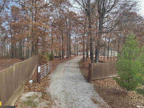 Tiny photo for 19650 N Pisque Lane, Woodlawn, IL 62898 (MLS # EB460569)