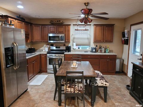 Tiny photo for 19650 N Pisque Lane, Woodlawn, IL 62898 (MLS # EB460569)