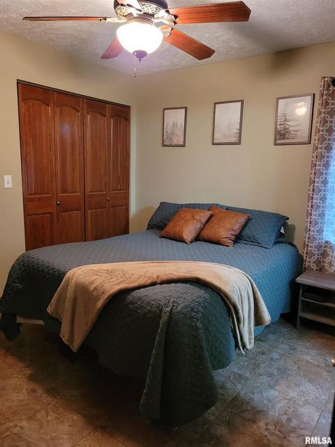 Tiny photo for 19650 N Pisque Lane, Woodlawn, IL 62898 (MLS # EB460569)