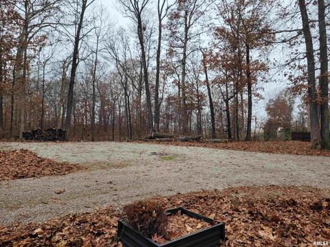 Tiny photo for 19650 N Pisque Lane, Woodlawn, IL 62898 (MLS # EB460569)