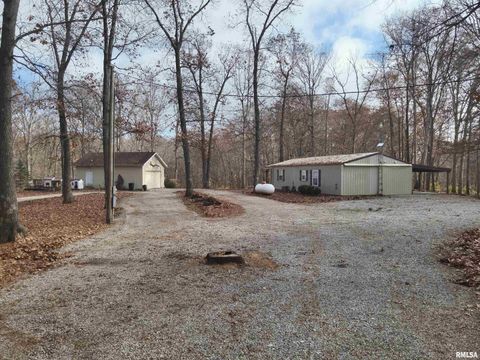 Tiny photo for 19650 N Pisque Lane, Woodlawn, IL 62898 (MLS # EB460569)