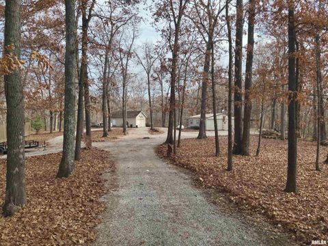 Tiny photo for 19650 N Pisque Lane, Woodlawn, IL 62898 (MLS # EB460569)