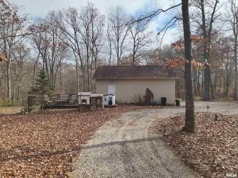 Tiny photo for 19650 N Pisque Lane, Woodlawn, IL 62898 (MLS # EB460569)