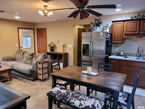 Tiny photo for 19650 N Pisque Lane, Woodlawn, IL 62898 (MLS # EB460569)