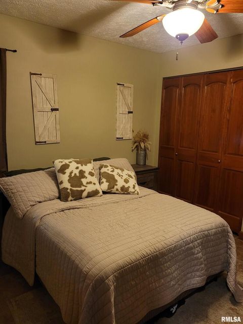 Tiny photo for 19650 N Pisque Lane, Woodlawn, IL 62898 (MLS # EB460569)