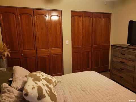 Tiny photo for 19650 N Pisque Lane, Woodlawn, IL 62898 (MLS # EB460569)