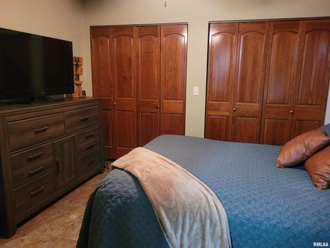 Tiny photo for 19650 N Pisque Lane, Woodlawn, IL 62898 (MLS # EB460569)