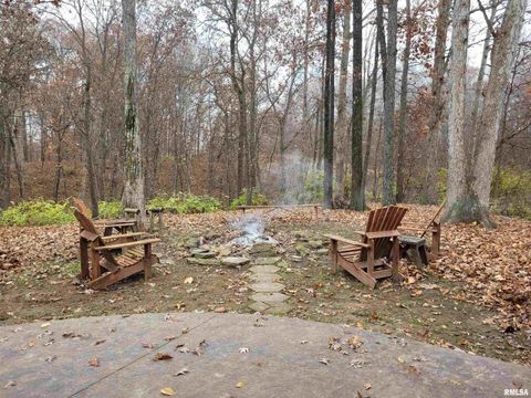 Tiny photo for 19650 N Pisque Lane, Woodlawn, IL 62898 (MLS # EB460569)