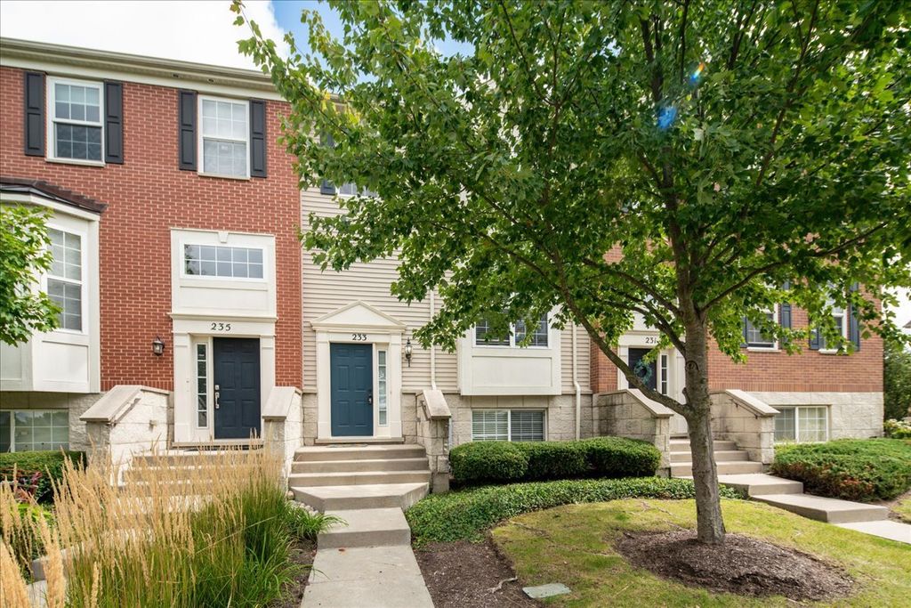 Photo for 233 Jackson Street, Gilberts, IL 60136 (MLS # 12507357)