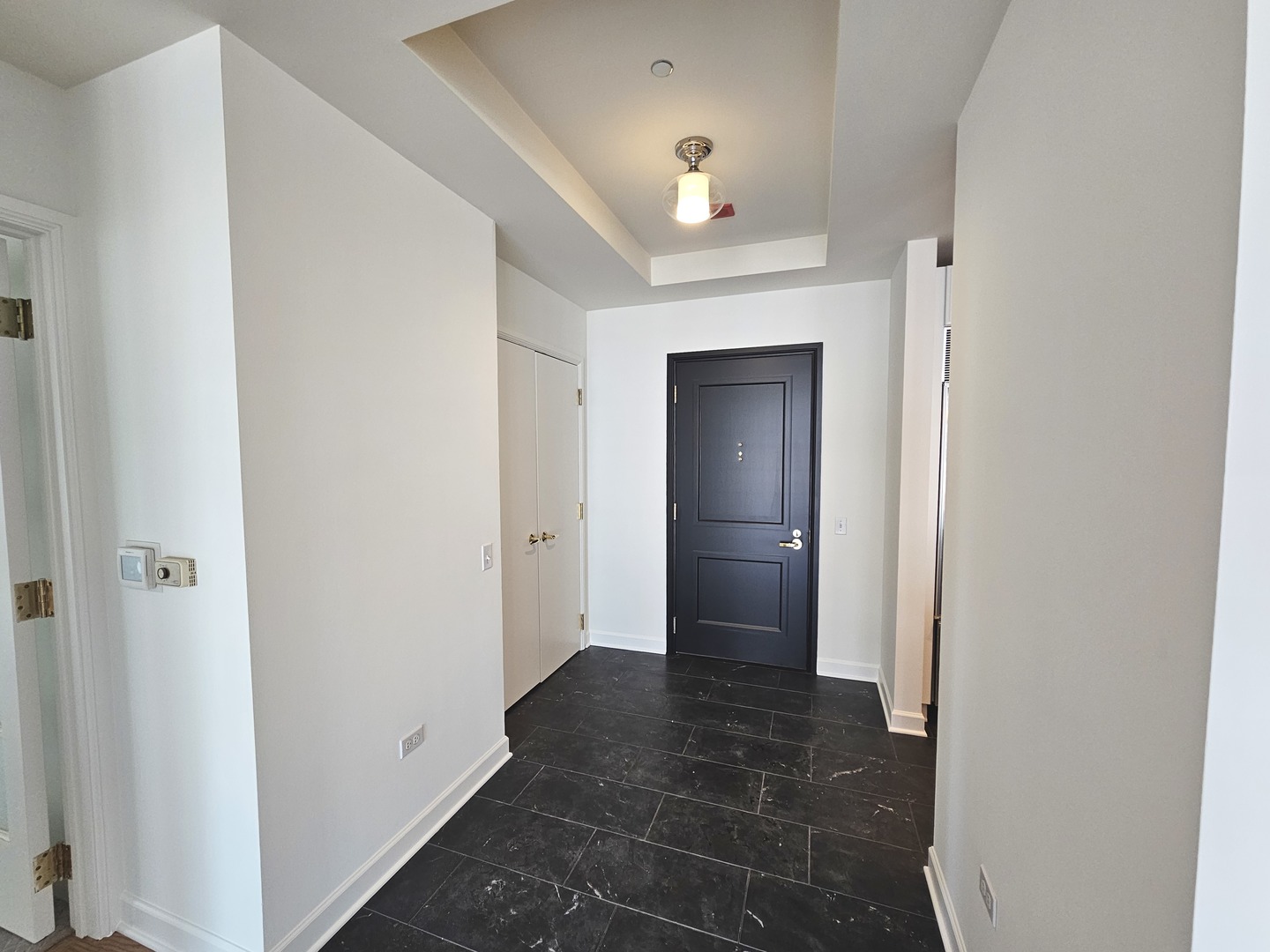 415 E North Water Street 1102
