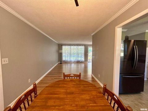 Tiny photo for 1406 W TAYLOR Drive, Carbondale, IL 62901 (MLS # EB460003)