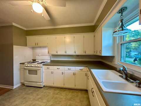 Tiny photo for 1406 W TAYLOR Drive, Carbondale, IL 62901 (MLS # EB460003)