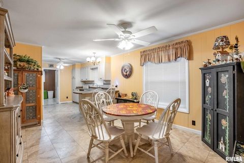 Tiny photo for 620 N 13TH Street, Herrin, IL 62948 (MLS # QC4269611)