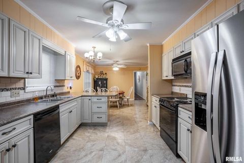 Tiny photo for 620 N 13TH Street, Herrin, IL 62948 (MLS # QC4269611)