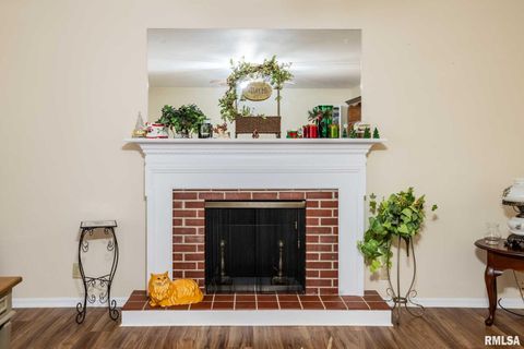 Tiny photo for 620 N 13TH Street, Herrin, IL 62948 (MLS # QC4269611)