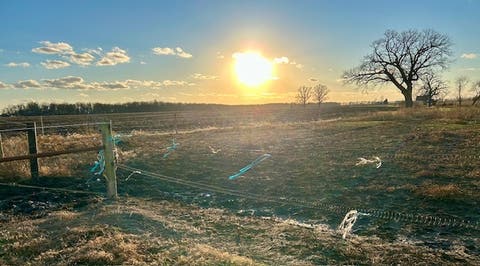 Tiny photo for 86 County Road 575, Pesotum, IL 61863 (MLS # 12525692)