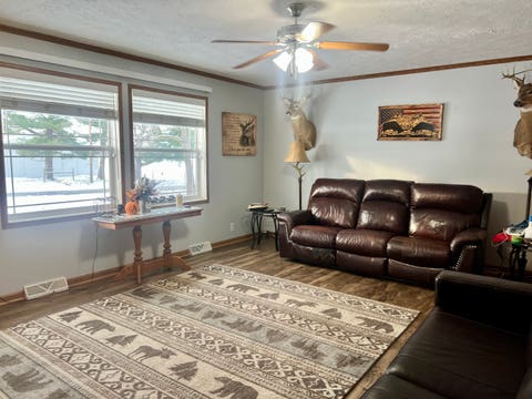 Tiny photo for 86 County Road 575, Pesotum, IL 61863 (MLS # 12525692)