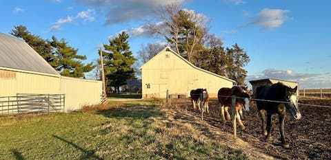 Tiny photo for 86 County Road 575, Pesotum, IL 61863 (MLS # 12525692)