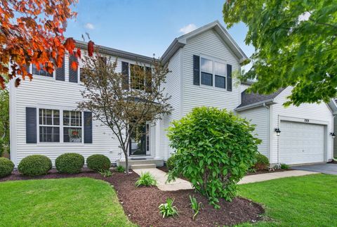 Photo of 13809 Trillium Lane, Plainfield, IL 60544 (MLS # 12633230)