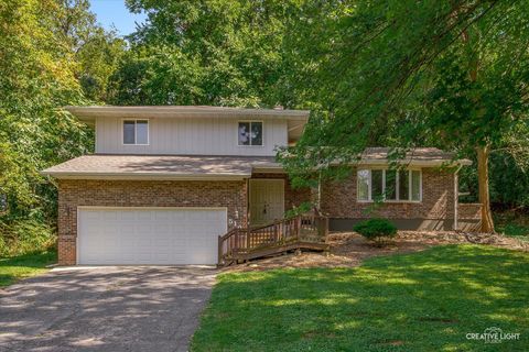 Photo of 510 N Van Buren Street, East Dundee, IL 60118 (MLS # 12463857)