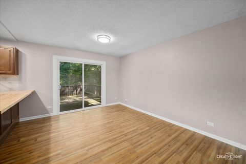 Tiny photo for 510 N Van Buren Street, East Dundee, IL 60118 (MLS # 12463857)