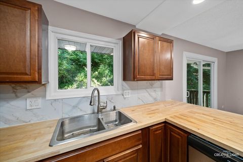 Tiny photo for 510 N Van Buren Street, East Dundee, IL 60118 (MLS # 12463857)