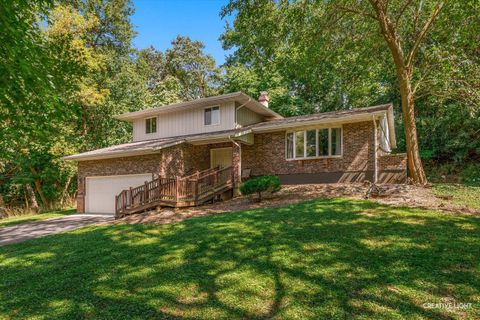 Tiny photo for 510 N Van Buren Street, East Dundee, IL 60118 (MLS # 12463857)