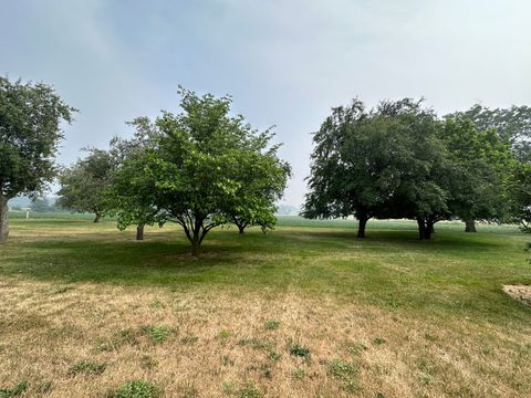 Tiny photo for 12454 Cracker Road, Farmer City, IL 61842 (MLS # 12495619)